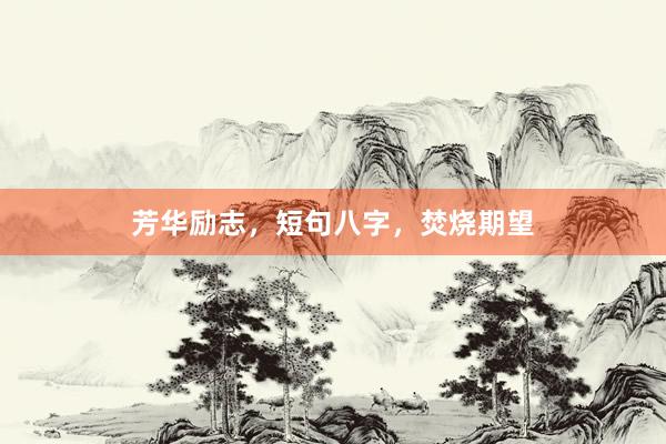 芳华励志，短句八字，焚烧期望