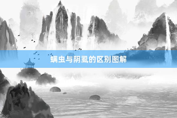 螨虫与阴虱的区别图解