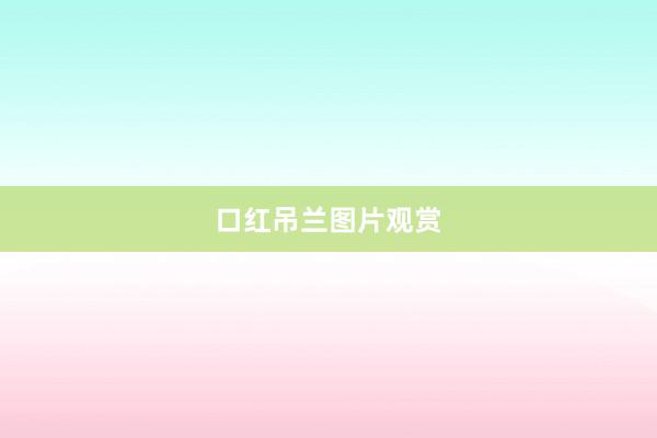 口红吊兰图片观赏