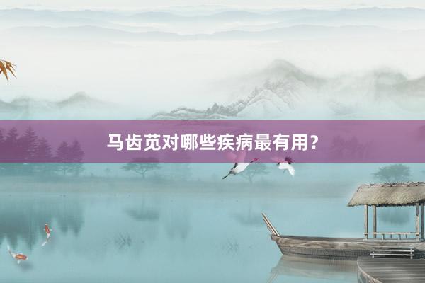 马齿苋对哪些疾病最有用？