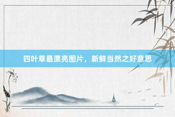 四叶草最漂亮图片，新鲜当然之好意思