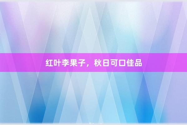 红叶李果子，秋日可口佳品