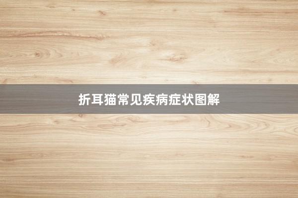 折耳猫常见疾病症状图解