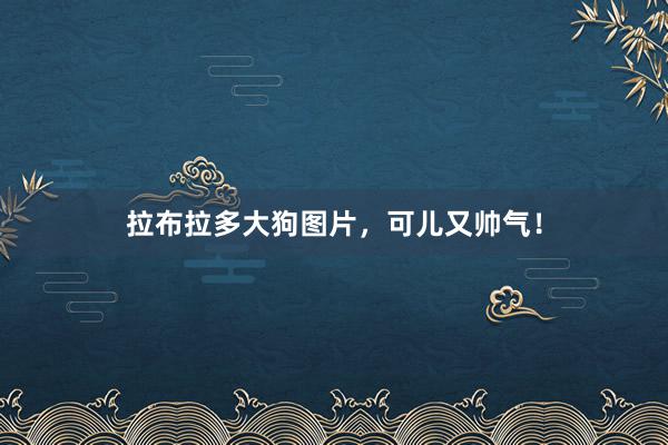 拉布拉多大狗图片，可儿又帅气！
