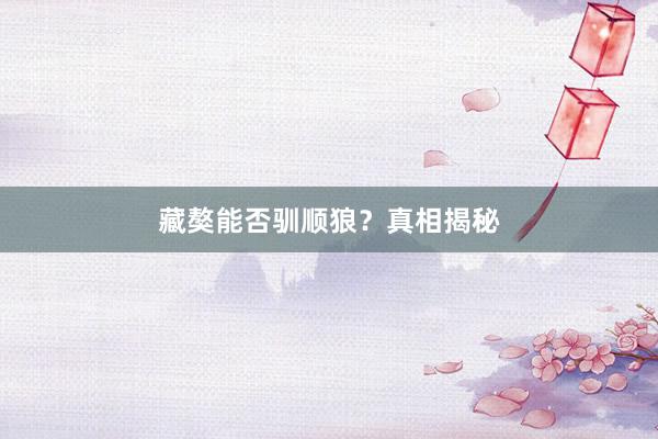 藏獒能否驯顺狼？真相揭秘